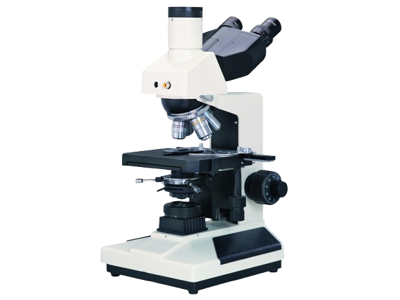 https://source.venuslabtech.com/mall-prod/16840837-c8ef-4bf4-9741-25b3defccd85.png