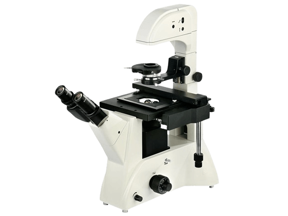 https://source.venuslabtech.com/mall-prod/1cf63c9c-b3ae-486a-95c4-37479df04627.png