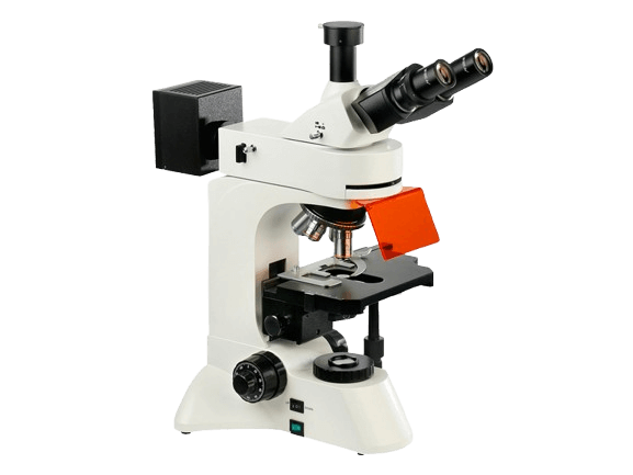 https://source.venuslabtech.com/mall-prod/3d11f60d-2849-4b6c-9840-b1daeb478971.png