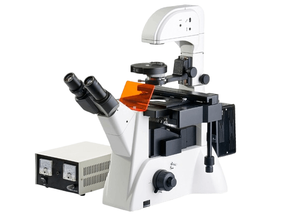 https://source.venuslabtech.com/mall-prod/42449a6f-3ea5-4b4e-a6be-2fe4553ce341.png