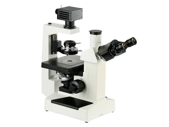 https://source.venuslabtech.com/mall-prod/65b921e7-4594-427f-a26e-90c04e0d4456.png