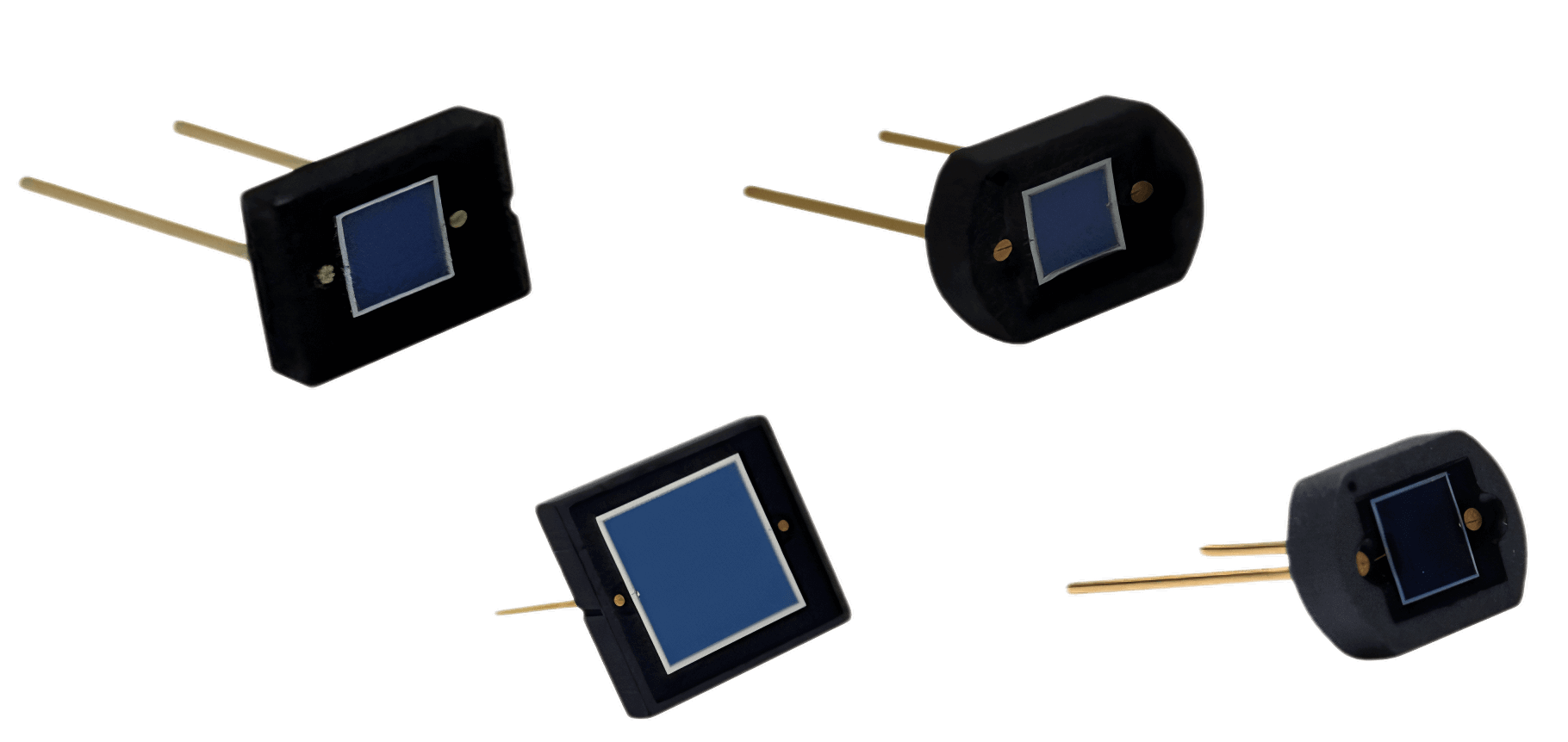 https://source.venuslabtech.com/mall-prod/9c648641-417a-4553-aadb-bc5162ce4354.png