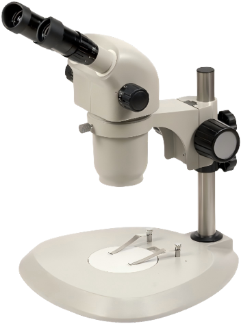 https://source.venuslabtech.com/mall-prod/76a4be51-028a-4af2-a301-e298da81e62d.png