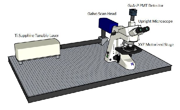 Multiphoton Microscope system front view
