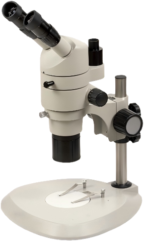 https://source.venuslabtech.com/mall-prod/b3eb6a33-6c1b-42b9-a05c-fa2049095a99.png