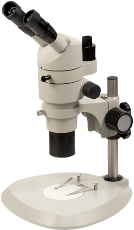https://source.venuslabtech.com/mall-prod/becffdeb-4fda-4d71-a9fa-0720ad75f0c1.png