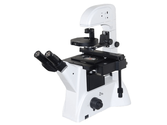 https://source.venuslabtech.com/mall-prod/c051fb62-01b7-4f3c-96ea-f1cdaa6c67e4.png