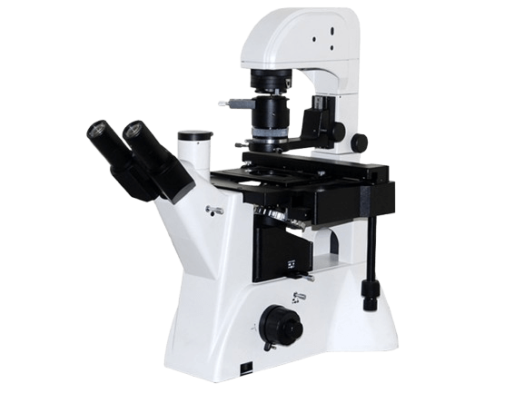 https://source.venuslabtech.com/mall-prod/c416cde8-15ba-4718-a54f-e8c1a81b5523.png