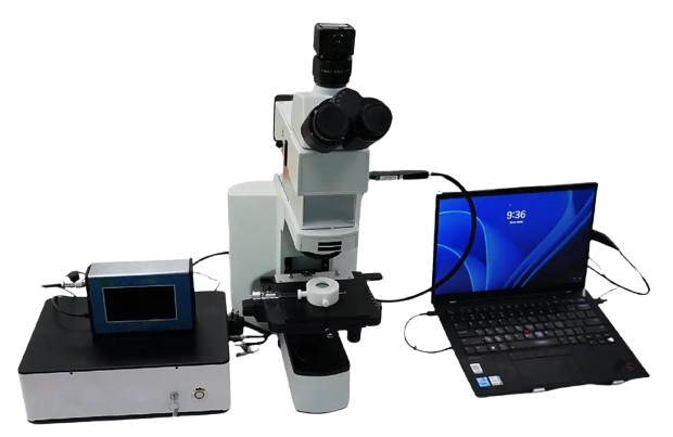 https://source.venuslabtech.com/mall-prod/fd4c632b-008c-41a5-a630-64841af7d49d.png
