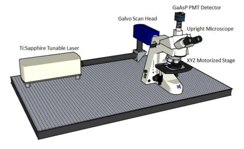Multiphoton Microscope system front view